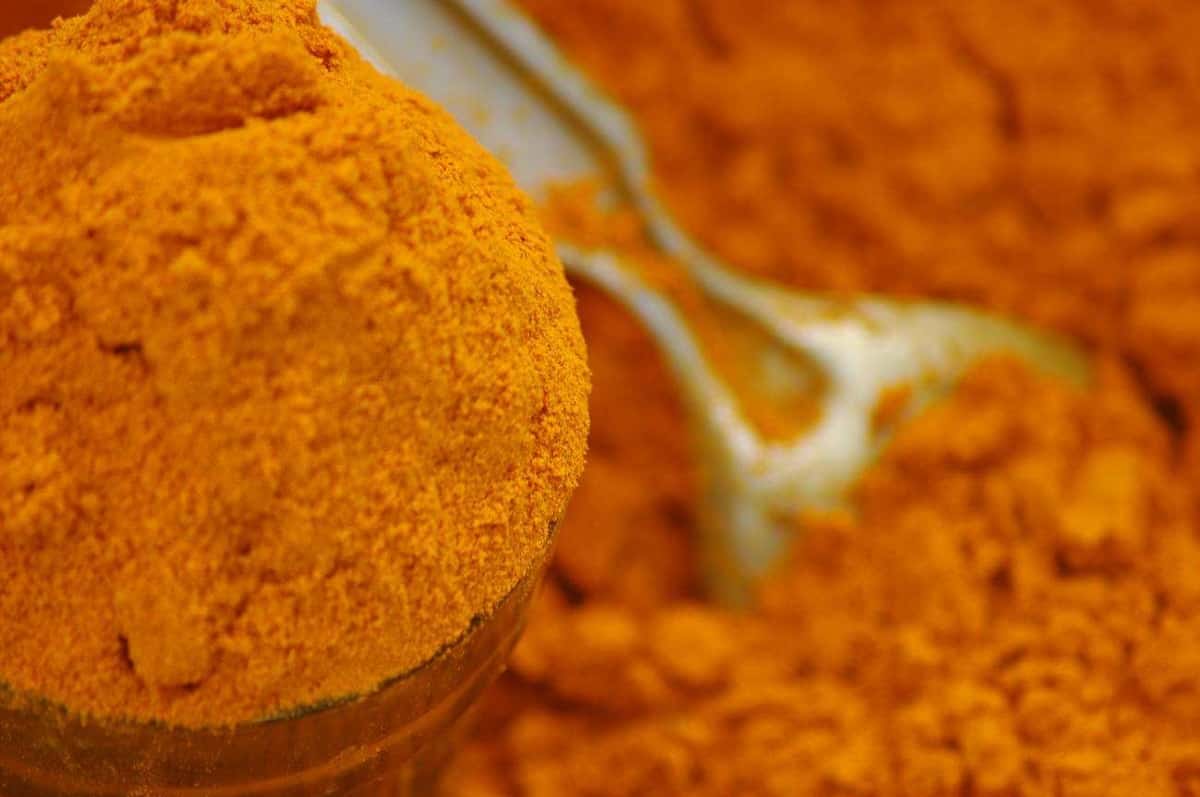 تصویر 1 از زردچوبه تازه قابل استفاده در فرآیند خشک‌ سازی